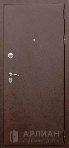 Фото «Порошковая дверь цвет медный антикк №4»