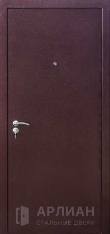 Фото «Железная дверь с порошковым окрасом №19»